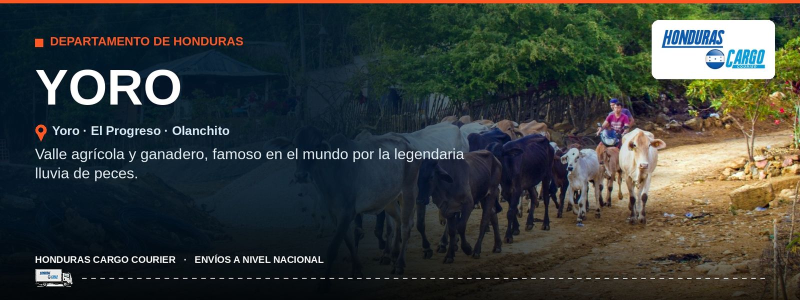 Cobertura Honduras Cargo Courier en Yoro